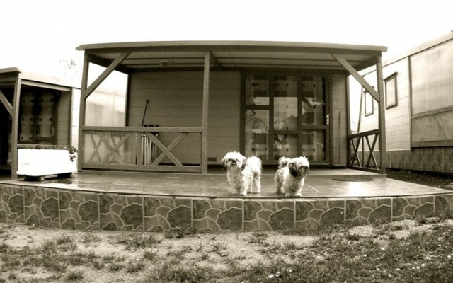 Nuestro camp